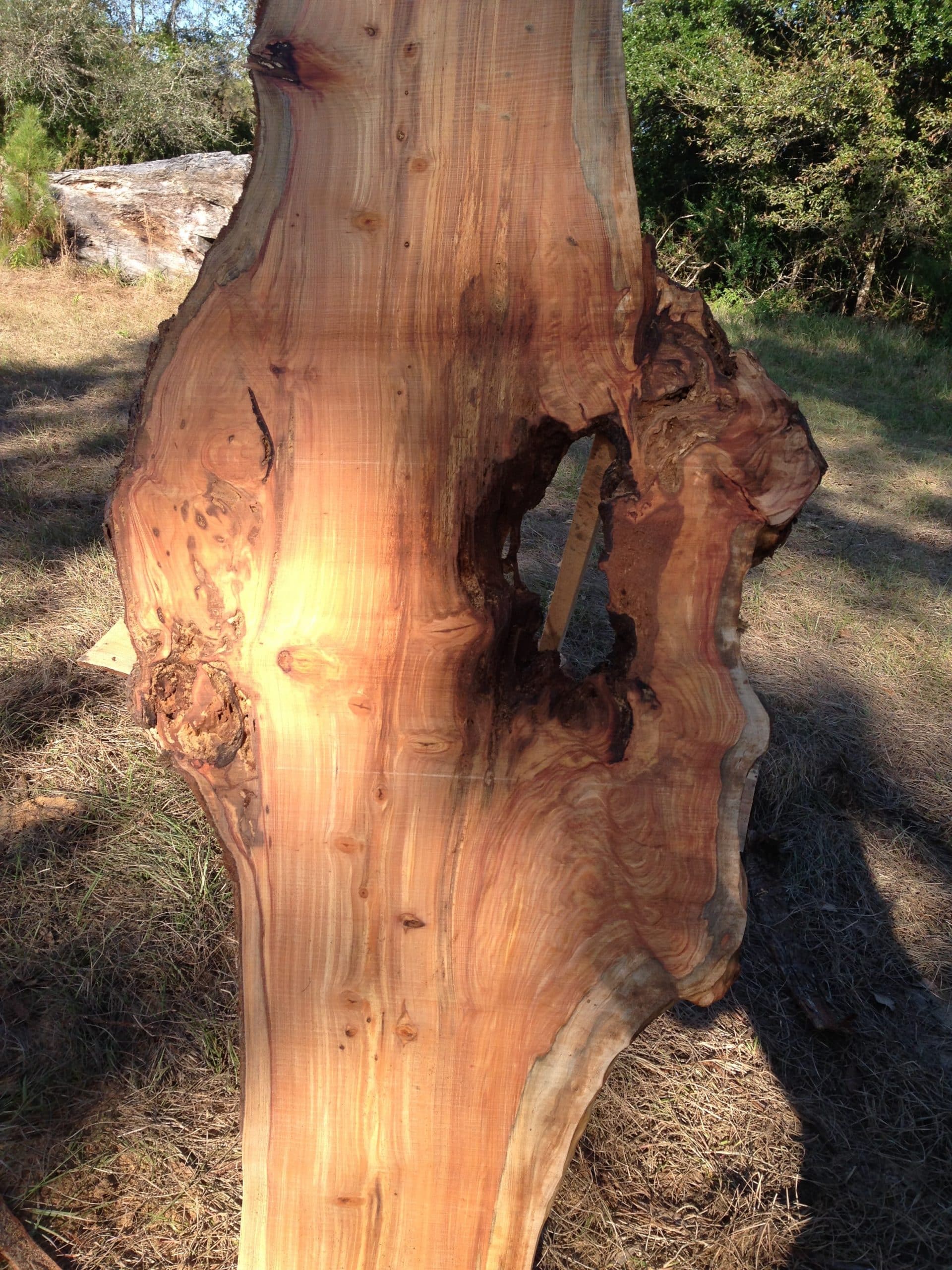 Crosscut Slabs & Lumber at Grassroots Wood Co. in Fairhope, Alabama