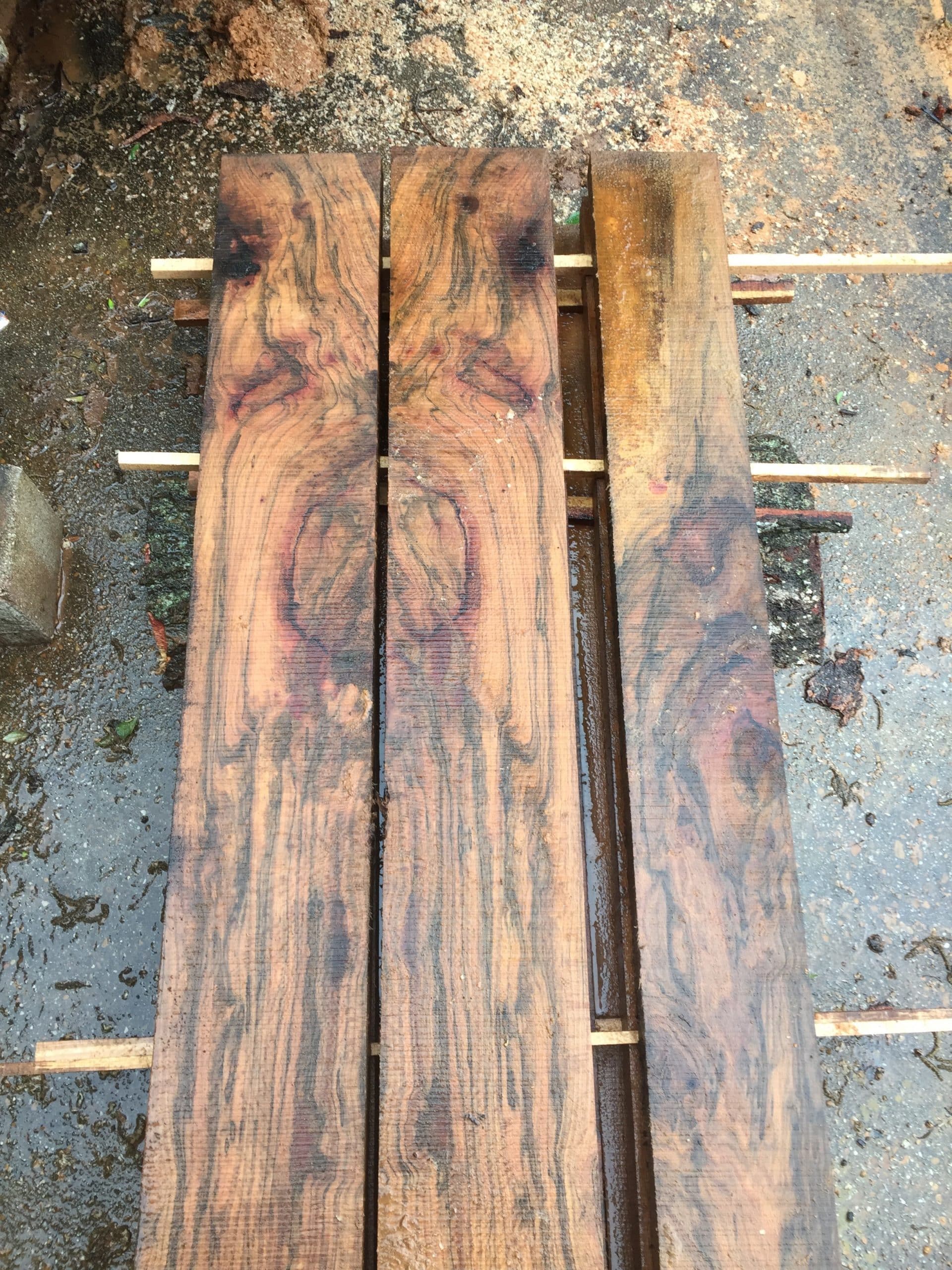 Crosscut Slabs & Lumber at Grassroots Wood Co. in Fairhope, Alabama