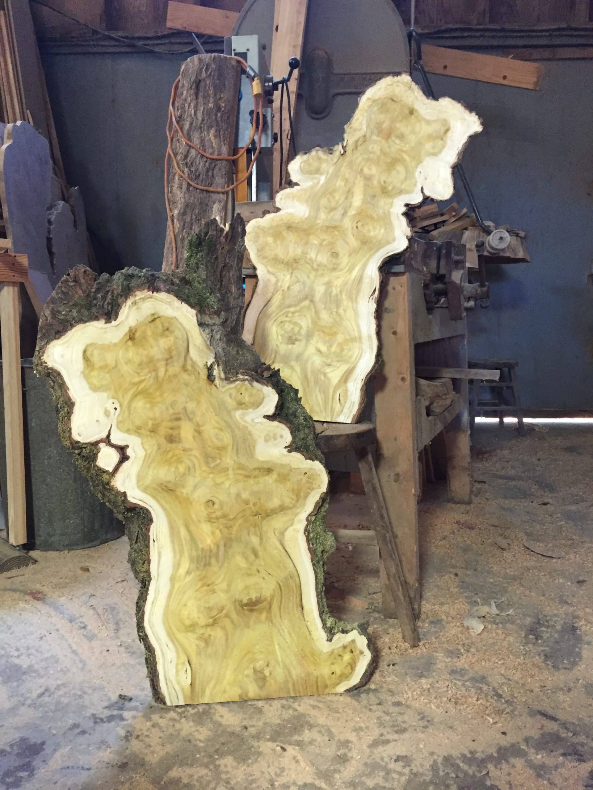 Crosscut Slabs & Lumber at Grassroots Wood Co. in Fairhope, Alabama